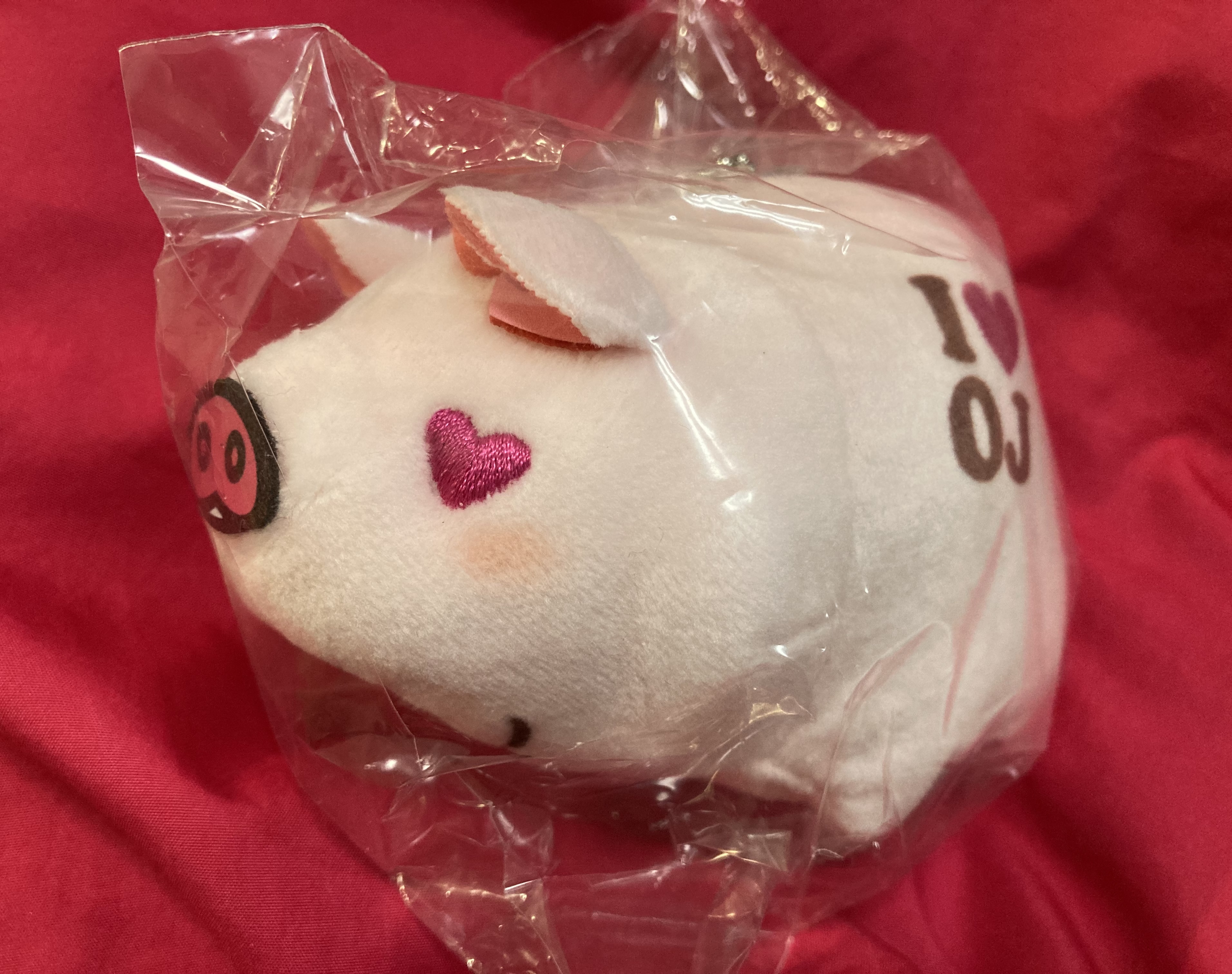 qc5h5rfz.jpeg 【画像】